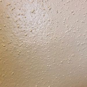 Meet your Posher, Abena